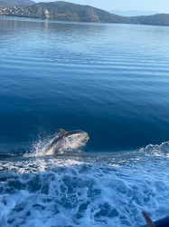 Фото з туру Солодкі дотики моря... Греція! Відпочинок на Егейському морі!, 12 серпня 2024 від туриста mariannashavel