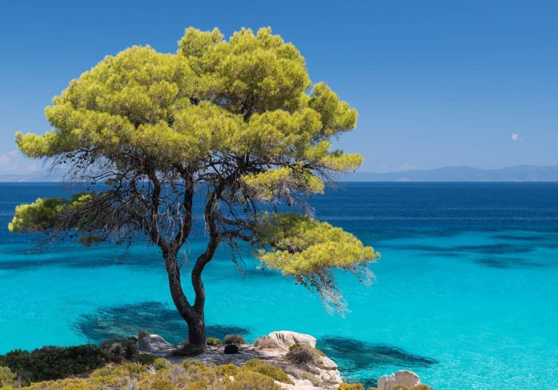 21.07.24 - Гарантований тур «Море спокуси... Греція! Відпочинок на Егейському морі» 